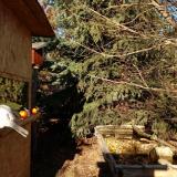 photo 2021-12-17 13-23-26