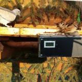 photo 2021-02-22 15-56-12