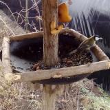 photo 2019-02-08 09-39-14