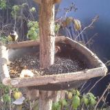 photo 2019-12-08 13-41-54