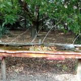 photo 2021-09-24 15-17-07