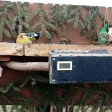 photo 2021-02-10 11-41-38