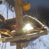 photo 2019-01-27 10-08-03