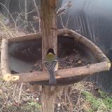 photo 2019-03-16 07-35-39