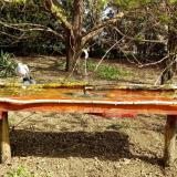 photo 2021-04-11 10-03-34