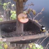 photo 2019-12-05 15-10-56