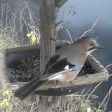 photo 2019-12-26 07-53-03