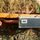 photo 2021-02-24 13-02-44