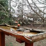 photo 2022-03-16 11-51-45