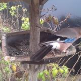 photo 2019-12-12 14-11-33