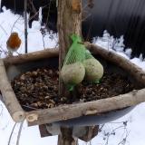 photo 2019-01-09 14-04-02