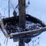 photo 2019-01-09 08-03-12