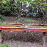 photo 2021-04-18 18-24-44