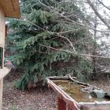 photo 2021-12-12 11-43-14