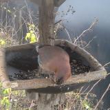 photo 2019-12-23 09-27-46