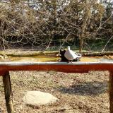 photo 2021-03-11 09-11-32