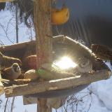 photo 2019-01-27 10-09-54