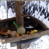 photo 2019-01-22 08-31-01