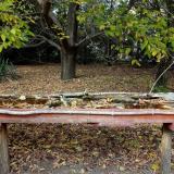 photo 2021-10-13 14-57-46