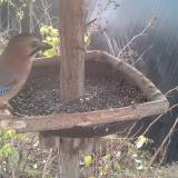 photo 2019-12-19 09-30-42