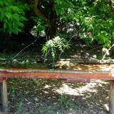 photo 2021-05-26 10-43-57