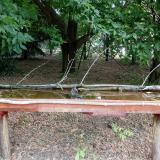 photo 2021-07-05 08-39-17