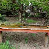 photo 2021-04-28 15-48-20