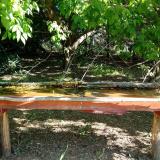 photo 2021-05-09 08-59-39