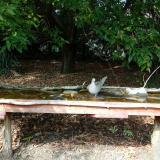 photo 2021-09-28 14-01-29