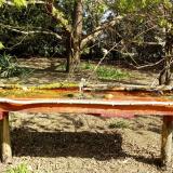 photo 2021-04-12 09-48-59