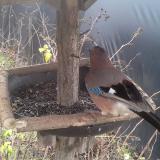 photo 2019-12-25 12-16-20