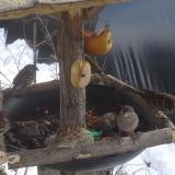 photo 2019-01-29 12-56-50