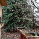 photo 2021-12-16 12-16-29