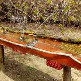 photo 2021-04-06 12-50-19