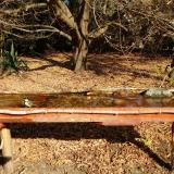 photo 2021-10-27 10-50-49