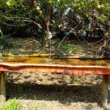 photo 2021-04-21 12-52-30