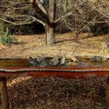 photo 2021-10-26 14-39-05