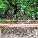 photo 2021-05-20 15-37-24