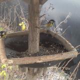 photo 2019-12-27 10-27-35