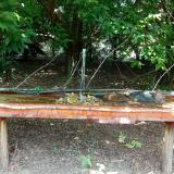 photo 2021-07-20 12-40-37