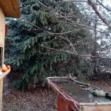 photo 2021-12-15 08-59-04