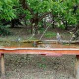 photo 2021-05-06 12-53-29