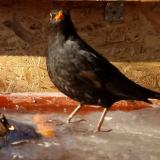 photo 2022-01-23 12-00-21 rigo