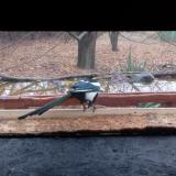 photo 2021-11-22 08-25-44