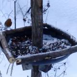 photo 2019-01-09 07-44-32