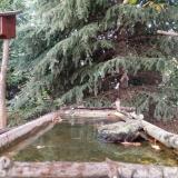 photo 2023-10-13 17-21-27