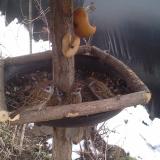 photo 2019-02-01 10-20-12