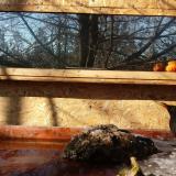 photo 2022-01-23 11-10-51