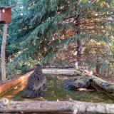 photo 2023-10-14 08-03-01