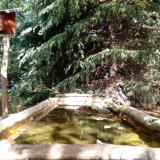 photo 2023-10-12 12-36-35